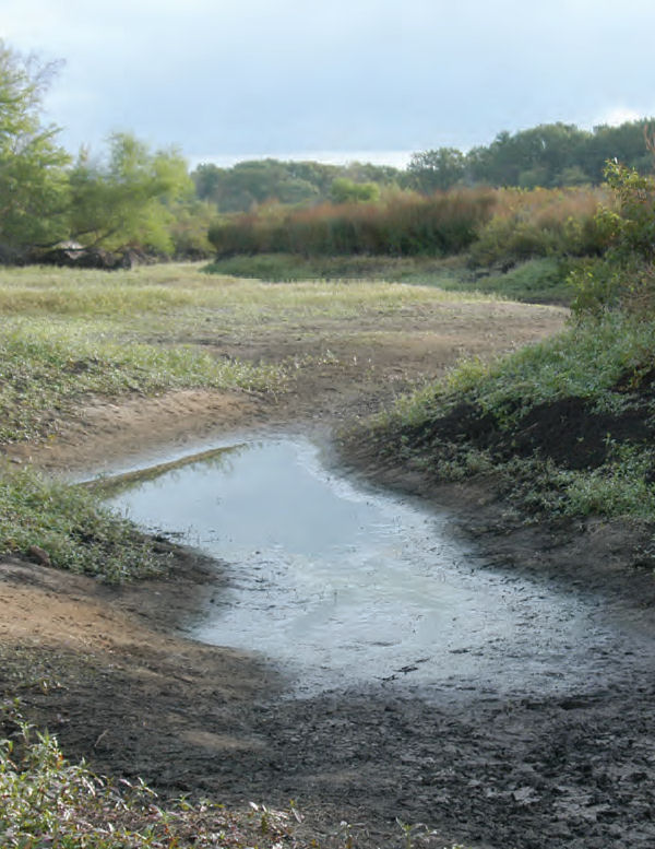 Pool and dry river bed resulting from groundwater withdrawal